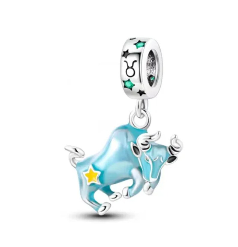 Taurus charm