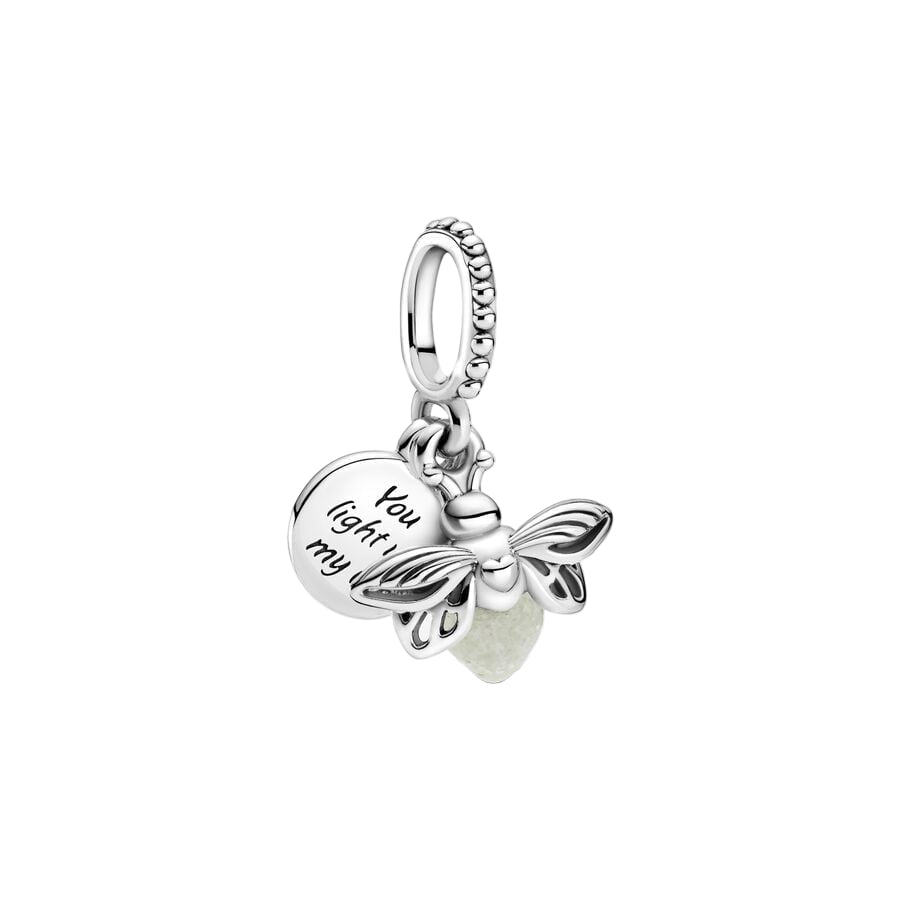 Dragon fly charm